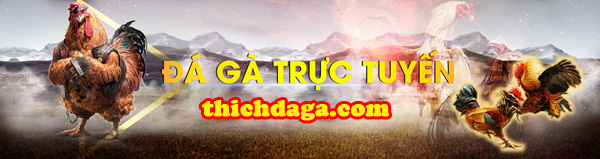 Danh sách những nhà cái đá gà online năm 2019