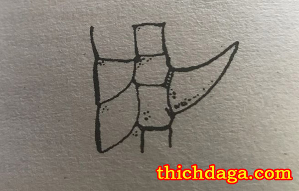 Tuyệt chiêu xem cựa gà đá biết ngay thắng thua