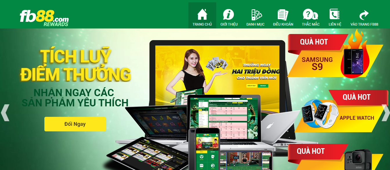 TOP 5 cái đá gà trực tuyến