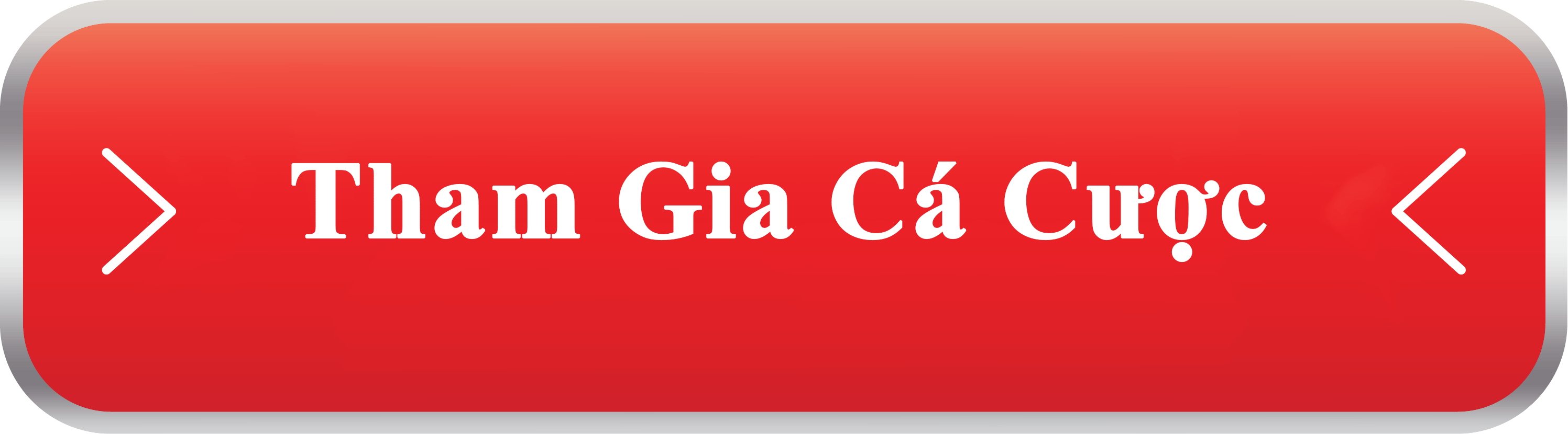 đá gà cựa sắt thomo
