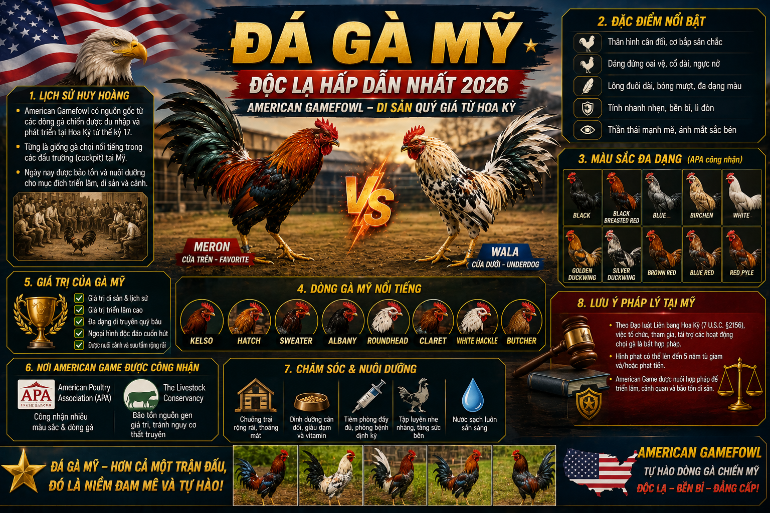 Đá Gà Mỹ