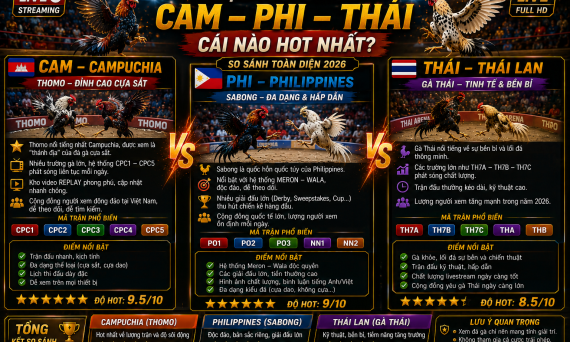 Trực tiếp đá gà Cam – Phi – Thái